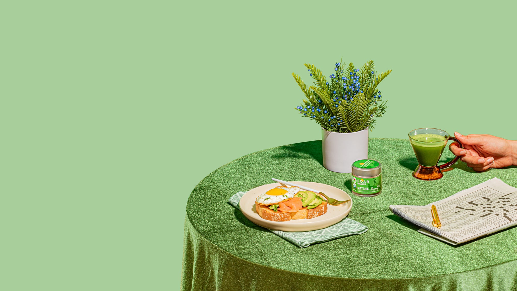 Soar Organics Matcha Buyers Guide