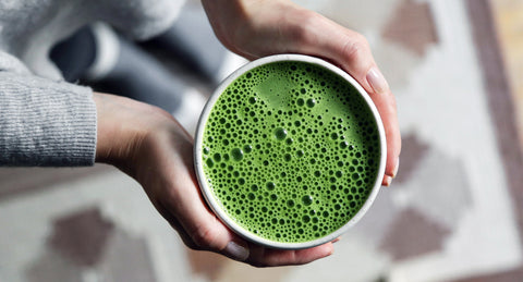 Everything You Need to Know About Catechins (and EGCG) in Matcha Green Tea