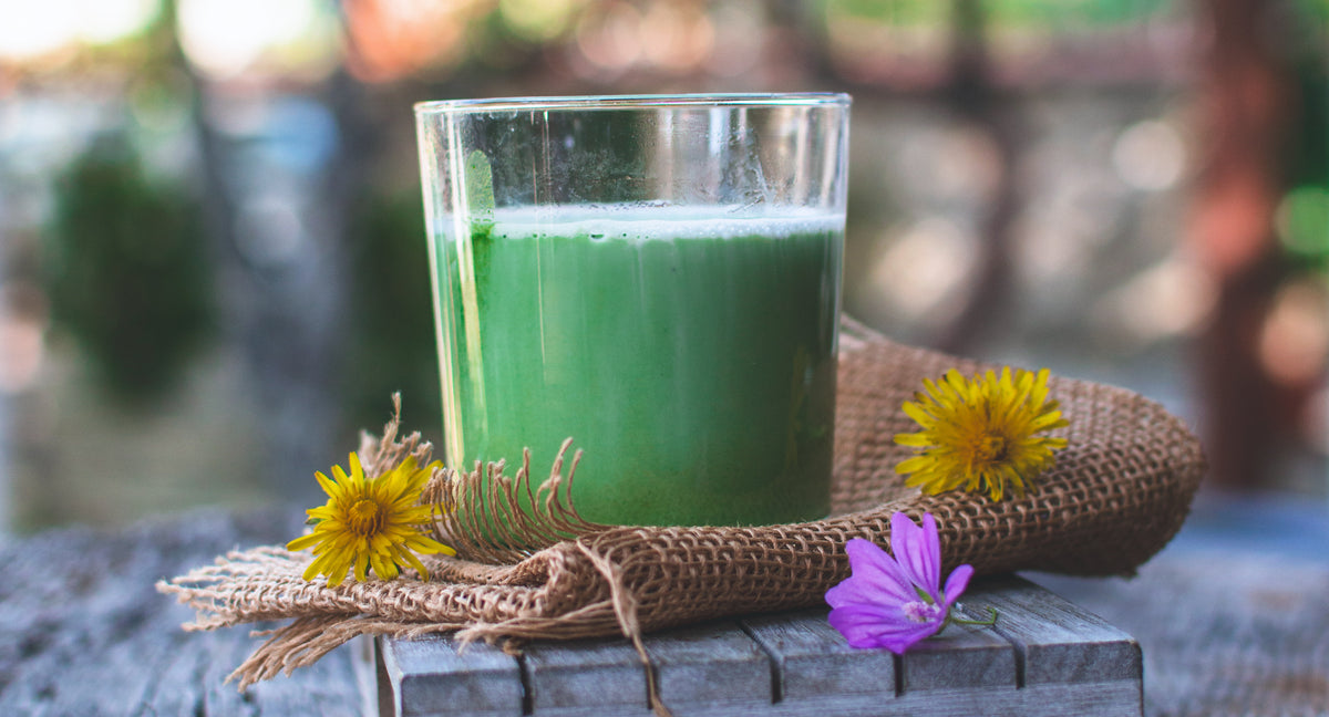 How Much Matcha Should I Drink in a Day? Soar Organics