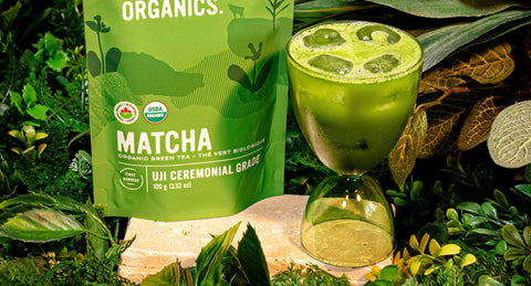 Matcha vs Coffee: Why You Should Switch